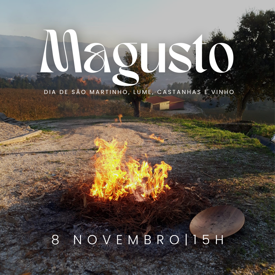Magusto Magusto